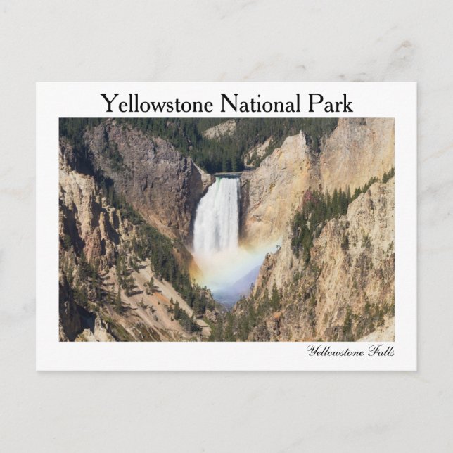 Cartão Postal Yellowstone - Lower Yellowstone Falls postcard (Frente)