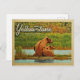 Cartão Postal Yellowstone National Park Bears Vintage (Frente/Verso)