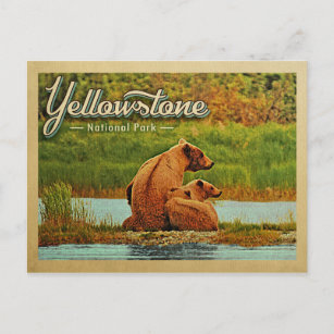 Cartão Postal Yellowstone National Park Bears Vintage