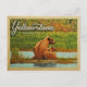 Cartão Postal Yellowstone National Park Bears Vintage (Frente)