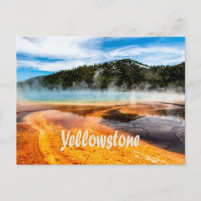 Cartão Postal Yellowstone National Park Monta Animais Naturais (Frente)