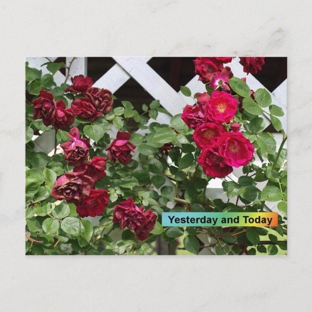 Cartão Postal Yesterday and Today (Frente)