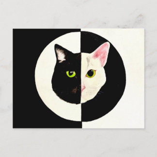 Cartão Postal Yin e yang black and white cats faces pintura