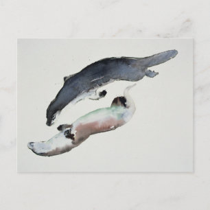 Cartão Postal Yin Yang