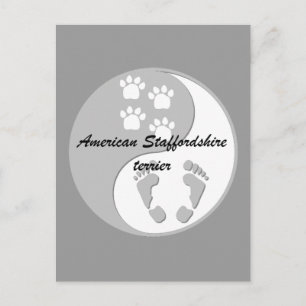 Cartão Postal yin yang american staffordshire terrier