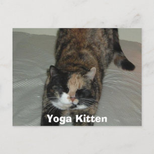 Cartão Postal Yoga Calico Cat