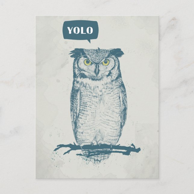 CARTÃO POSTAL YOLO (Frente)