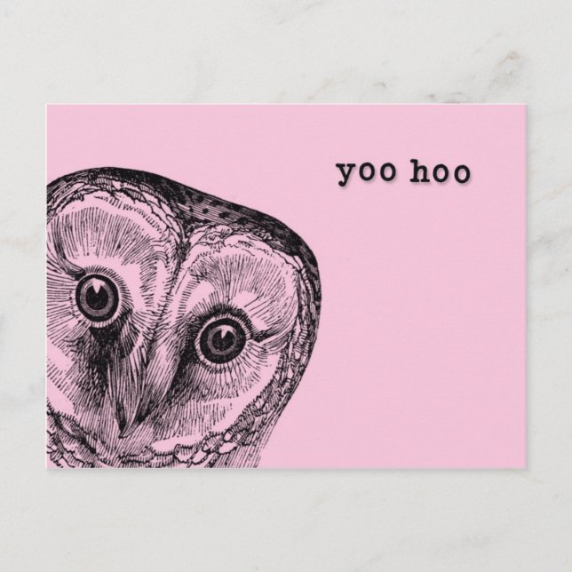 Cartão Postal Yoo Hoo Owl Saudação a Rosa (Frente)
