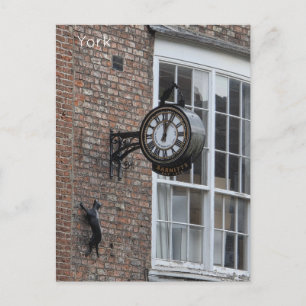 Cartão Postal York Cat