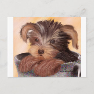 Cartão Postal Yorkie na sua taça