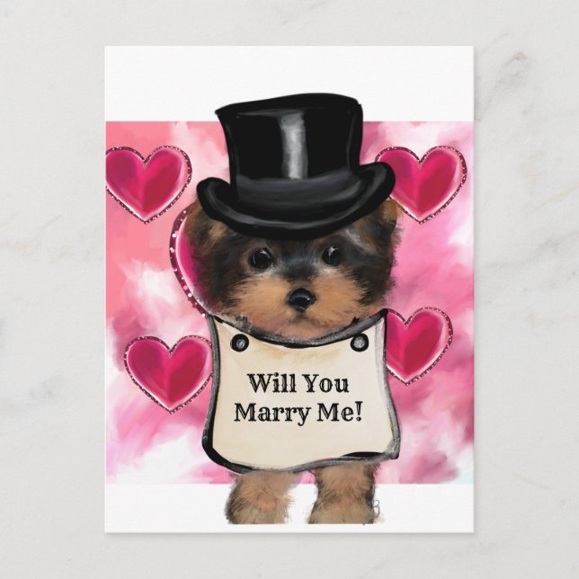 Cartão Postal Yorkie Poo   (Frente)