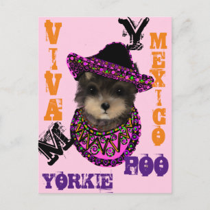 Cartão Postal Yorkie Poo
