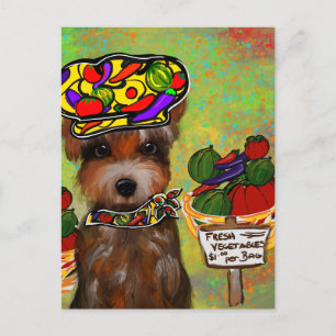 Cartão Postal Yorkie Poo