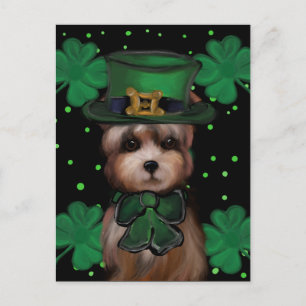Cartão Postal Yorkie Poo
