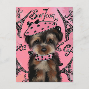 CARTÃO POSTAL YORKIE POO