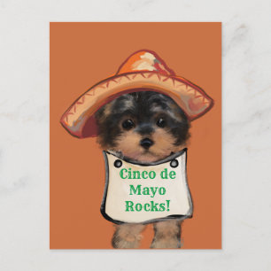 Cartão Postal Yorkie Poo