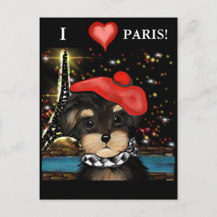 CARTÃO POSTAL YORKIE POO EM PARIS       