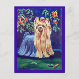 Cartão Postal Yorkshire Terrier