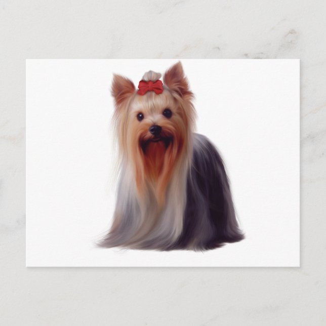 Cartão Postal Yorkshire Terrier (Frente)