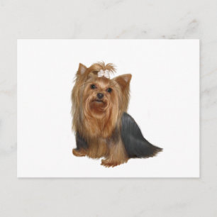Cartão Postal Yorkshire Terrier (7)
