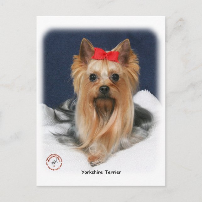 Cartão Postal Yorkshire Terrier 9Y110D-019 (Frente)