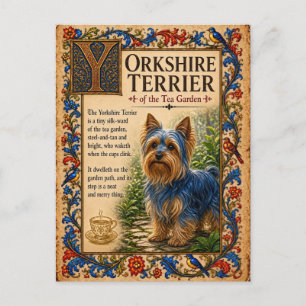 Cartão Postal Yorkshire Terrier, Arte Medieval do Bestiário