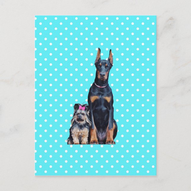 Cartão Postal Yorkshire Terrier Doberman Bolinhas azuis (Frente)