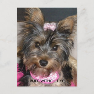 Cartão Postal Yorkshire Terrier, É RUFF SEM VOCÊ!