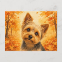 Yorkshire Terrier Floresta de Outono Cão