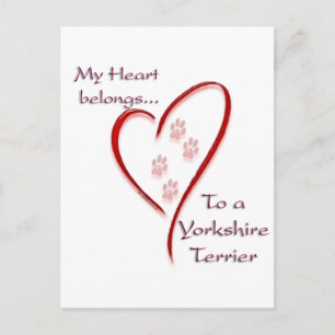 Cartão Postal Yorkshire Terrier Heart Pertence