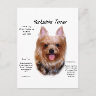 Cartão Postal Yorkshire Terrier History Design