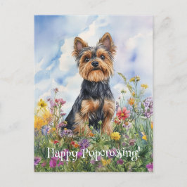 Cartão Postal Yorkshire Terrier Postcross - Postcard