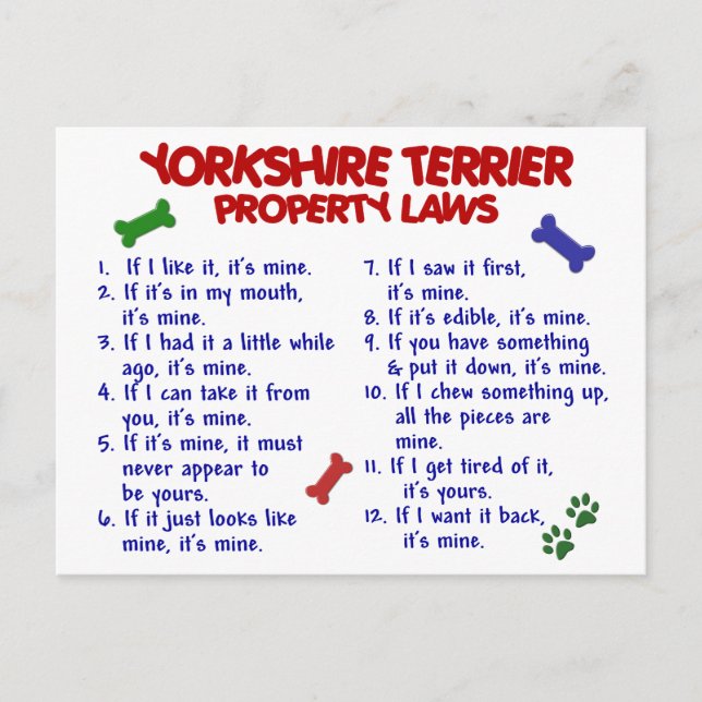 Cartão Postal YORKSHIRE TERRIER Property Laws 2 Yorkie (Frente)