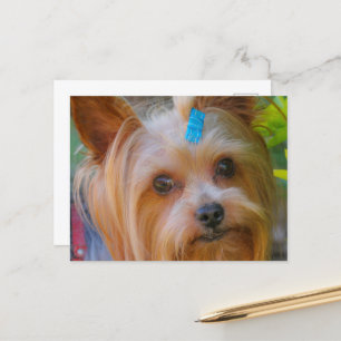 Cartão Postal Yorkshire Terrier Yorkie Breve favorita
