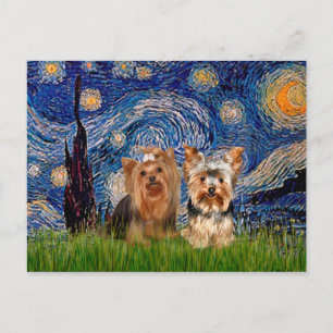 Cartão Postal Yorkshire Terriers (7and17) - Noite Estrelada