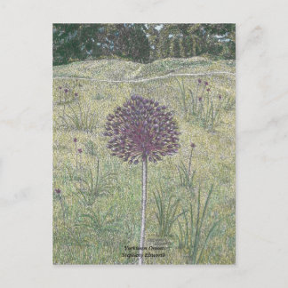 Cartão Postal Yorktown Onion
