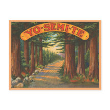 Yosemite California Vintage cena