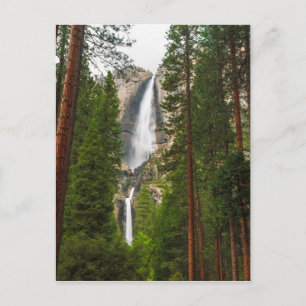 Cartão Postal Yosemite Falls através da Floresta