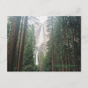 Cartão Postal Yosemite Falls Postcards
