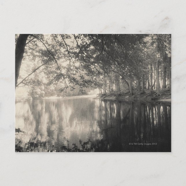 Cartão Postal Yosemite Park, Wyoming (Frente)