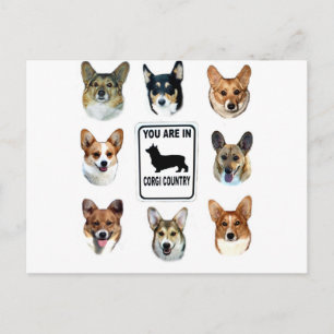 Cartão Postal You Are In Corgi Country