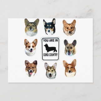 Cartão Postal You Are In Corgi Country