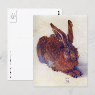 Cartão Postal Young Hare by Albrecht Durer, Renaissance Fine Art