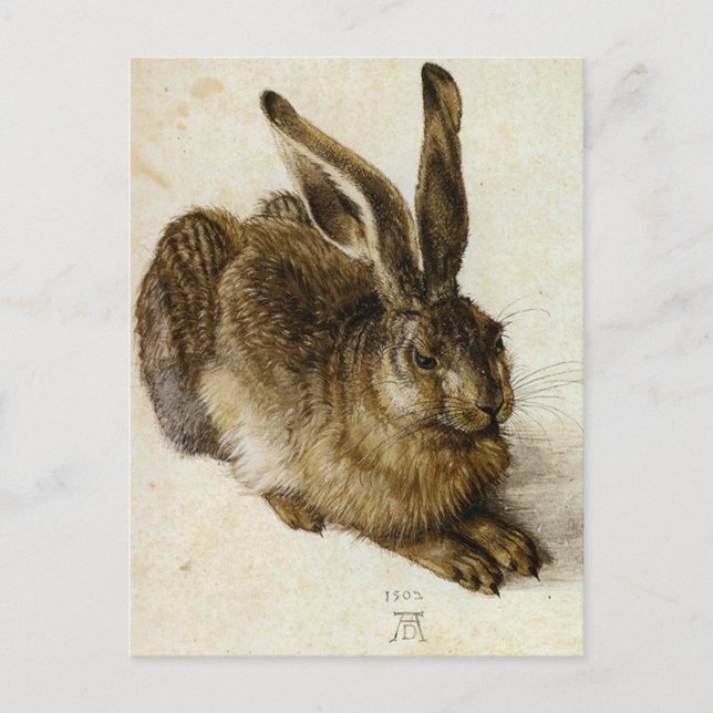 Cartão Postal "Young Hare" por Albrecht Dürer (Frente)