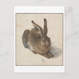 Cartão Postal Young Hare por Albrecht Durer