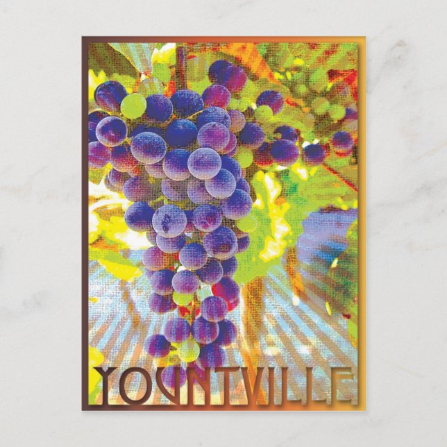 Cartão Postal Yountville California Grape Cluster (Frente)