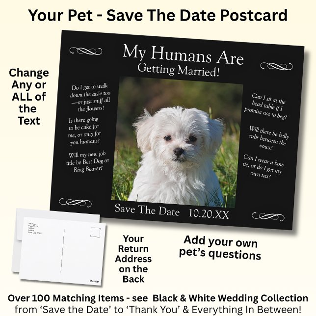 Cartão Postal Your Pet Photo Save The Date Black White Infinity (Criador carregado)