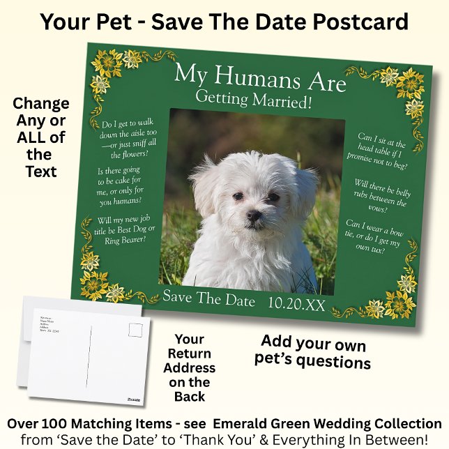 Cartão Postal Your Pet Photo Save The Date Emerald Green & Gold (Criador carregado)