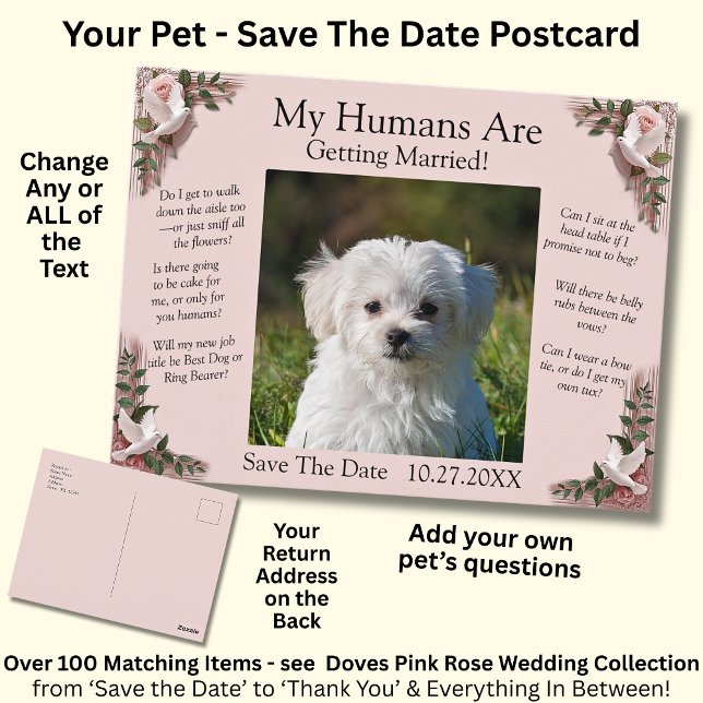Cartão Postal Your Pet Photo Save The Date Pink Roses & Doves (Criador carregado)