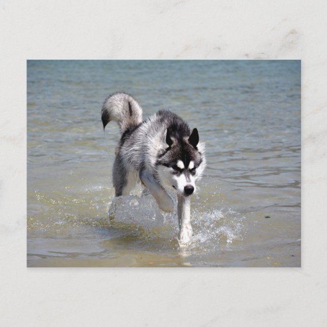 Cartão Postal YukonWasser (Frente)